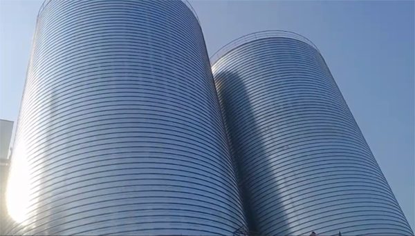 安龙2座混凝土高架卷板仓